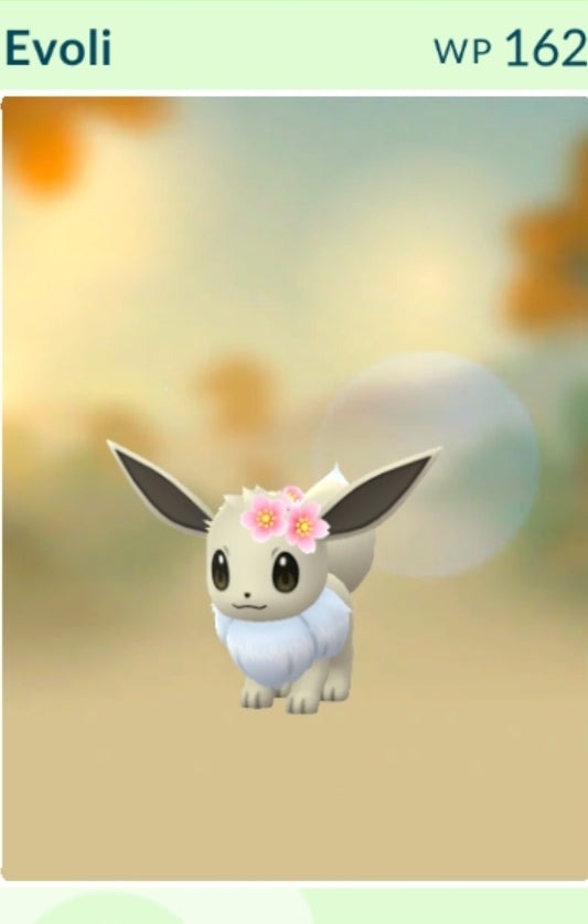 Evoly Shiny (Event)